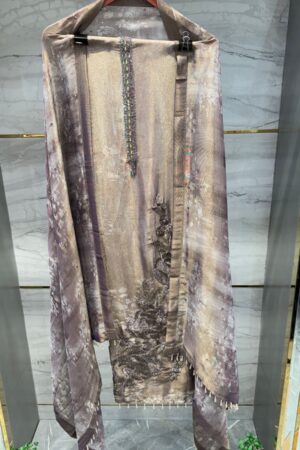Pure Shimmer Tissue Fabric with Elegant Cutdana and Sequence work.