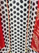 Elegant Pure Organza Polka Dot suit set with floral dupatta.
