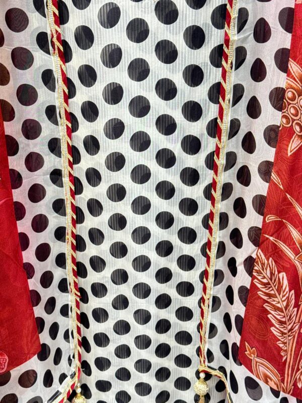 Elegant Pure Organza Polka Dot suit set with floral dupatta. - Image 3